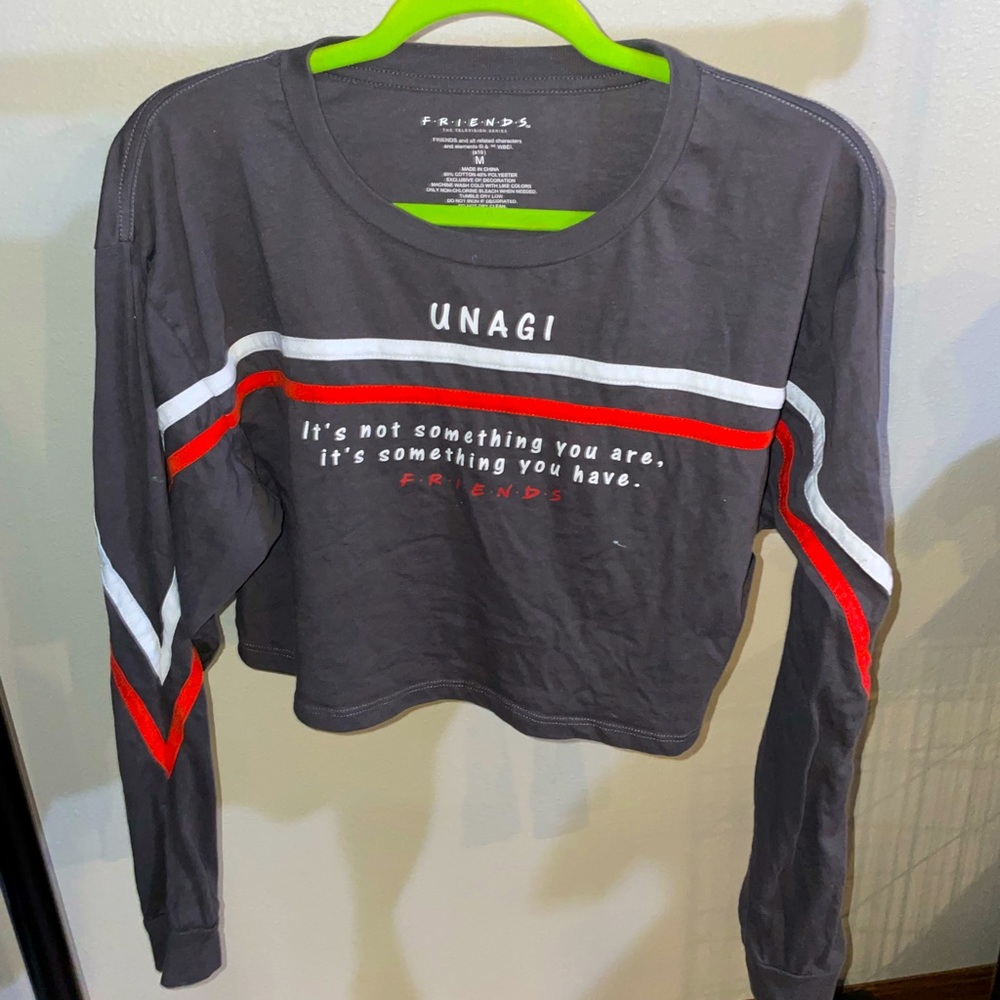 Friends long sleeve crop top